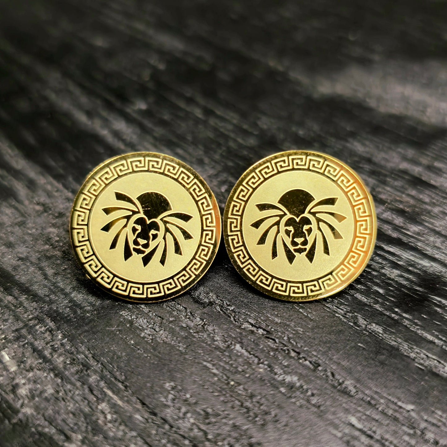 Boucles d'oreilles Aker D Lion