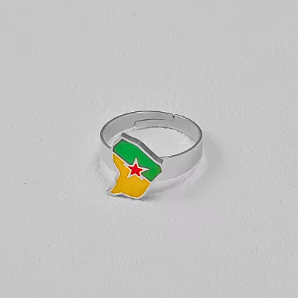Bague Île Drapeau Guyane - Acier Inox