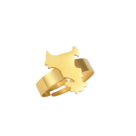Bague Mayotte Acier Inox