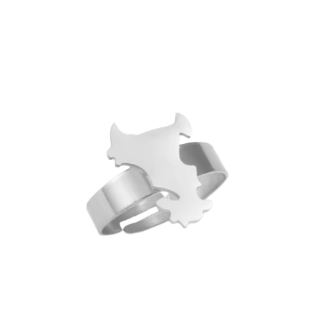 Bague Mayotte Acier Inox