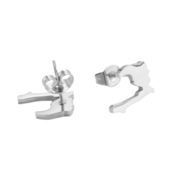 Boucles d'Oreilles Haïti Acier Inox Carte