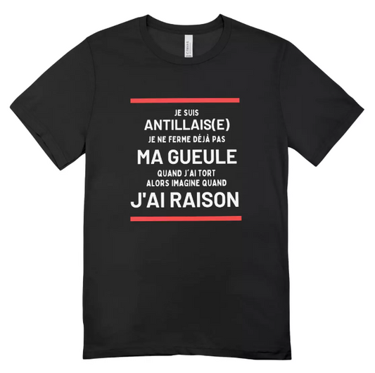 T-shirt Je suis Antillais(e) je ne ferme déjà pas...