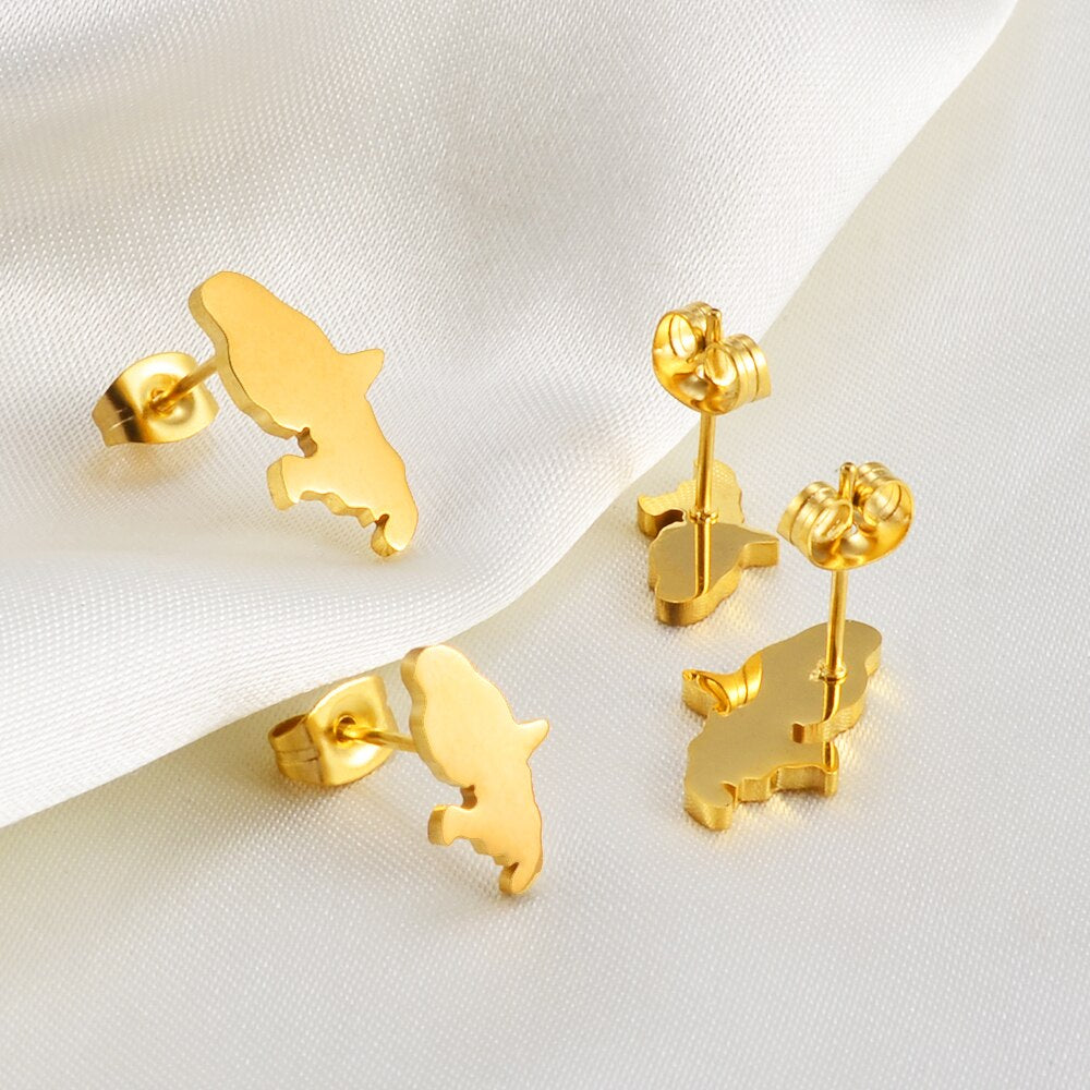 Boucle d'oreille Martinique Acier Inox