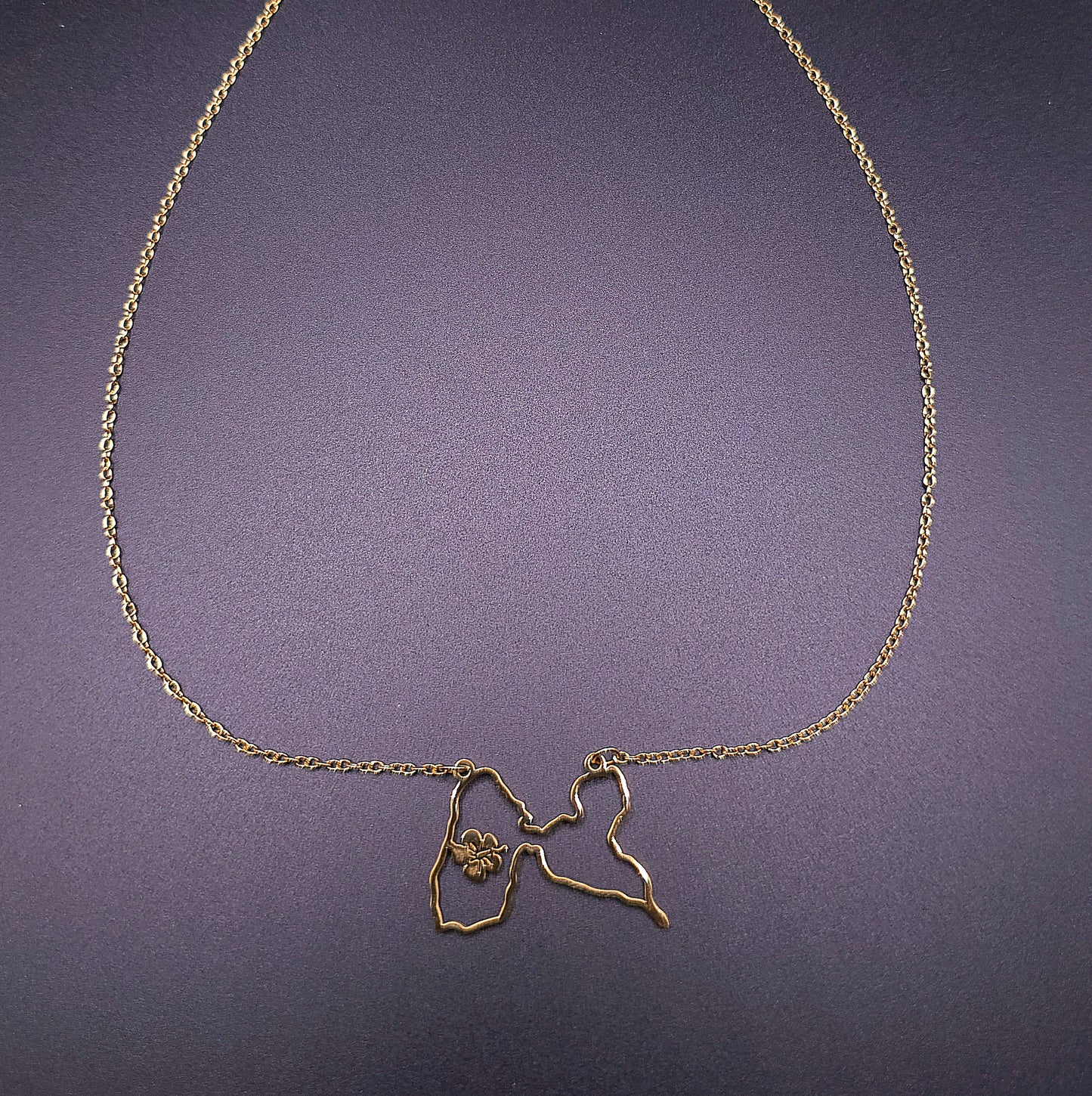 Collier Guadeloupe Contour Hibiscus Acier Inox