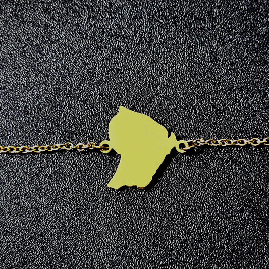 Bracelet Guyane Plein Acier Inox