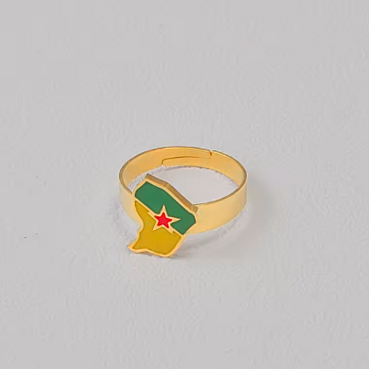 Bague Île Drapeau Guyane - Acier Inox