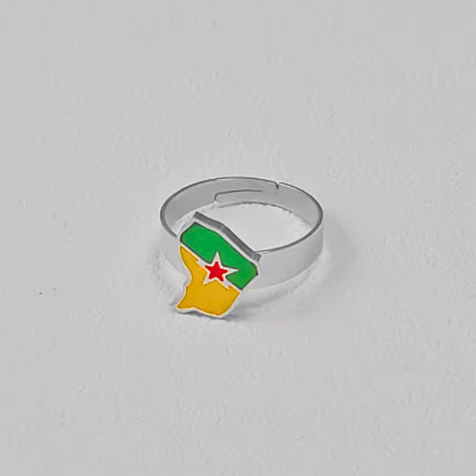 Bague Île Drapeau Guyane - Acier Inox