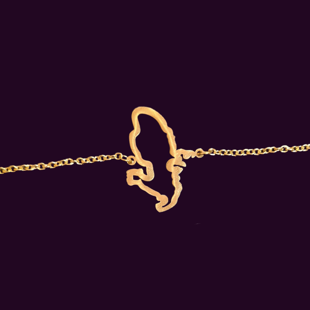 Bracelet Martinique Contour Acier Inox