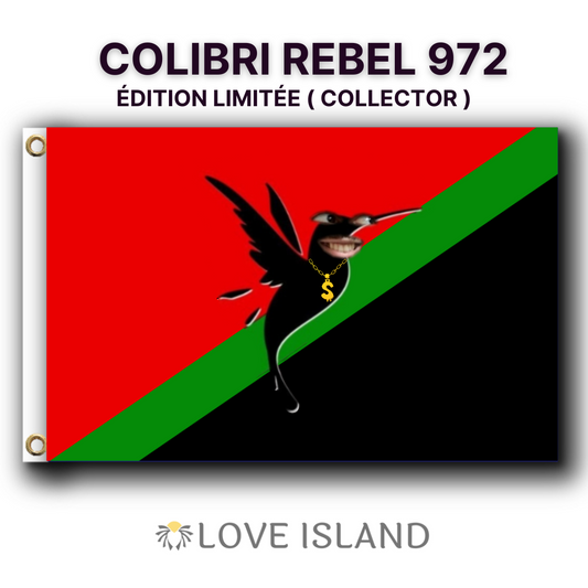 Drapeau Martinique Colibri Rebel