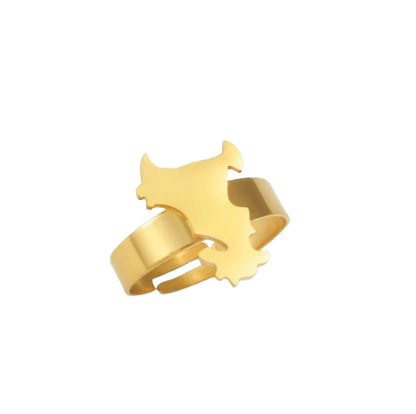 Bague Mayotte Acier Inox