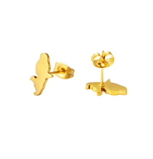 Boucle d'oreille Martinique Acier Inox