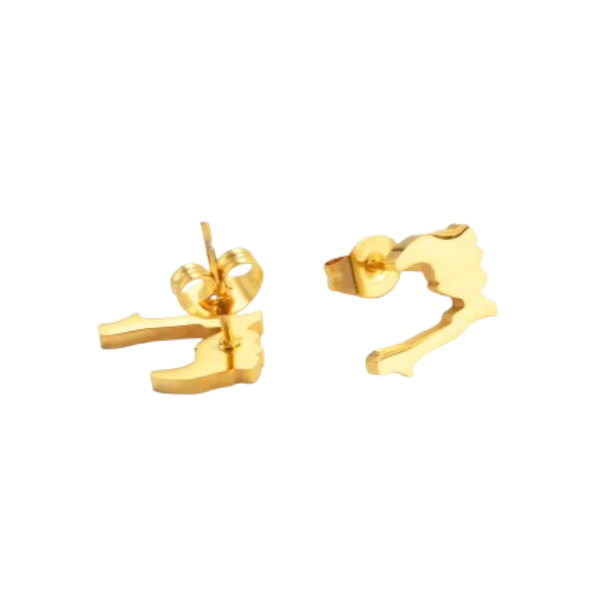 Boucles d'Oreilles Haïti Acier Inox Carte