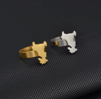 Bague Mayotte Acier Inox