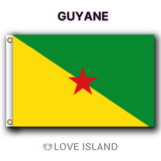 Drapeau Guyane